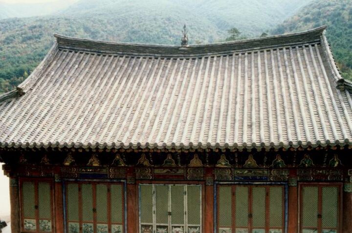 표충사대광전(배면)