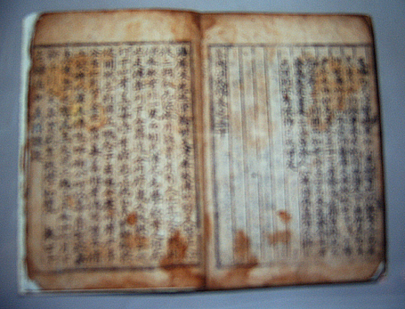 춘추호씨전
