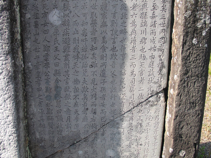 비신