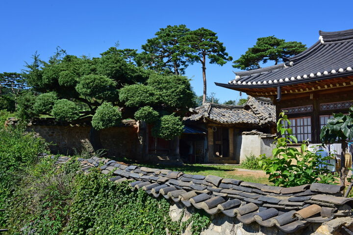 담장 전경