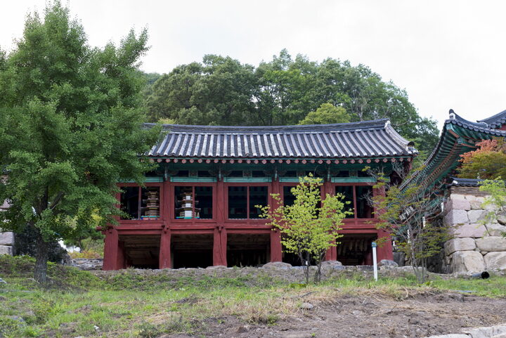 앞모습