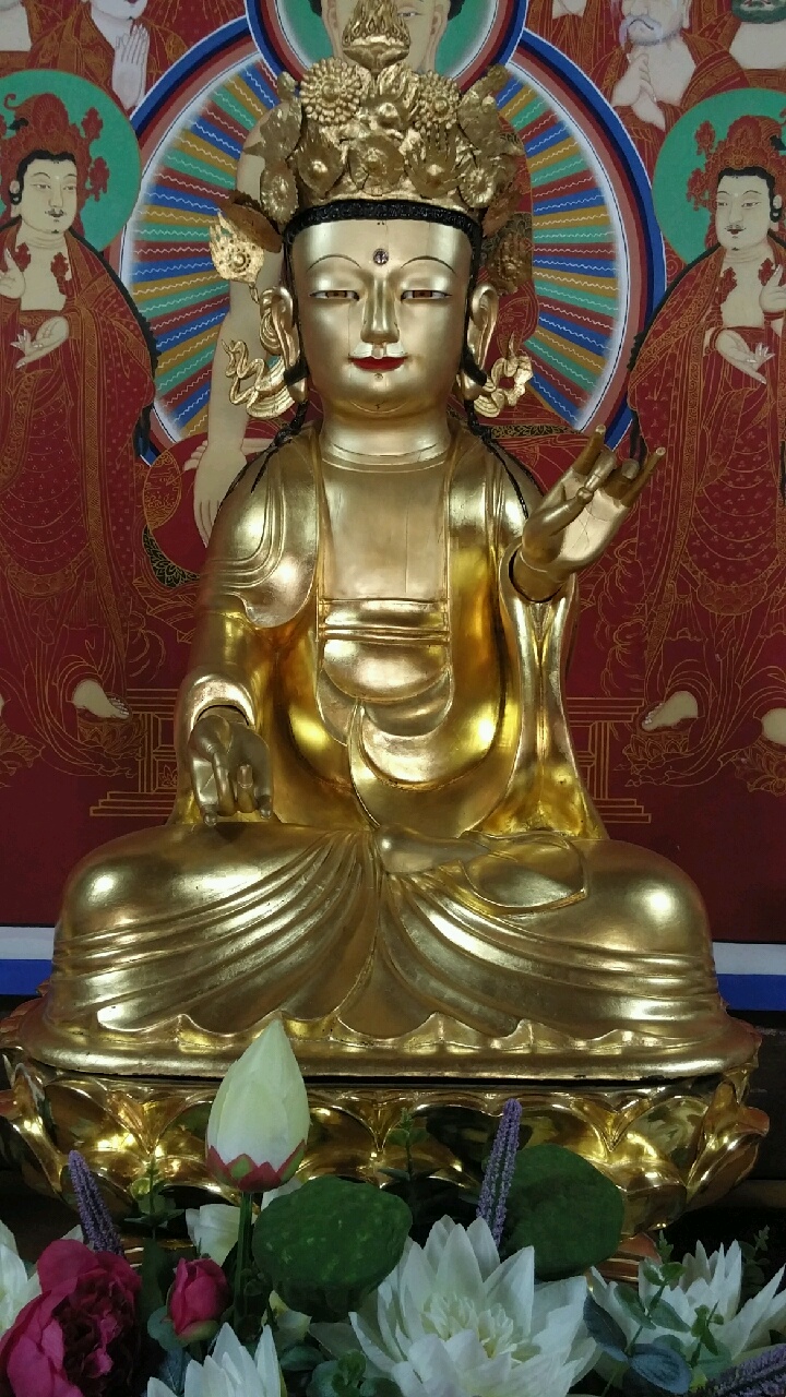 직접촬영