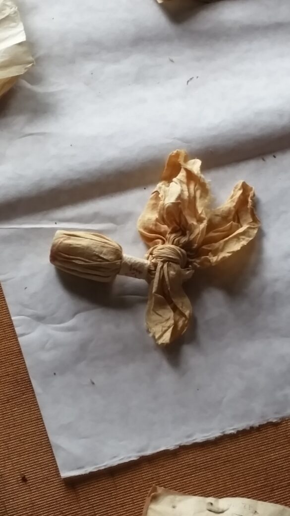 자체촬영