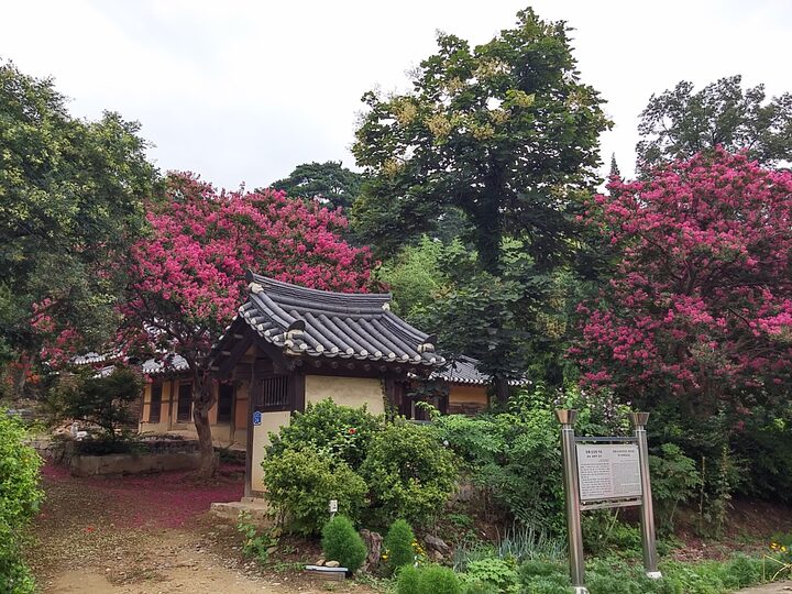 동해시