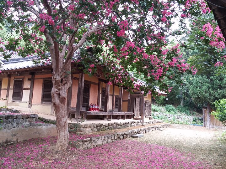 동해시
