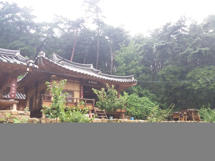 영주 금양정사