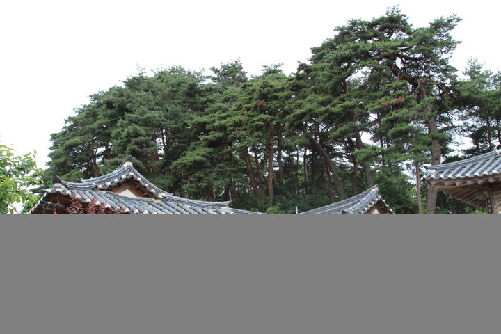 강릉 수리골 고택