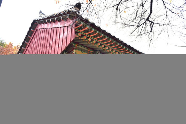 팔상전 (촬영년도 : 2015년)