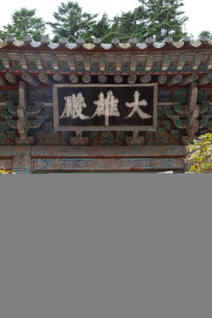 고성 옥천사 대웅전_지붕 및 불상 (촬영년도 : 2015년)