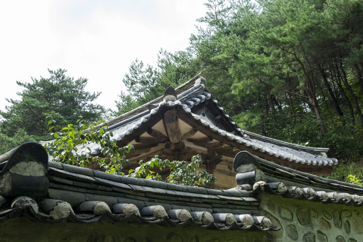삼휴정_담장과 지붕 (촬영년도 : 2015년)