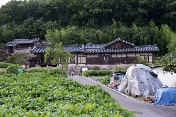 호수종택_원경 (촬영년도 : 2015년)