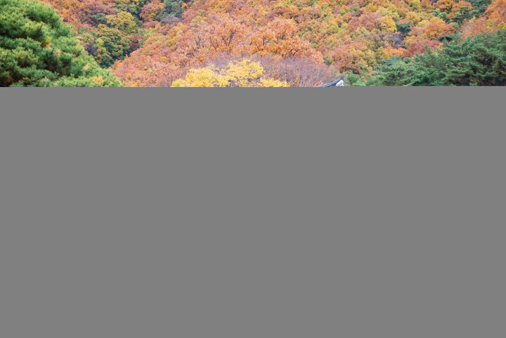 포항보경사대웅전_원경 (촬영년도 : 2015년)