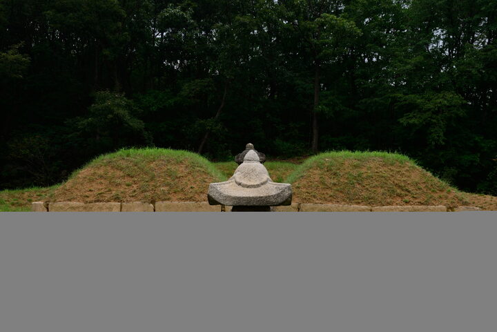 전주 이씨 영해군파 묘역_전경1 (촬영년도 : 2015년)