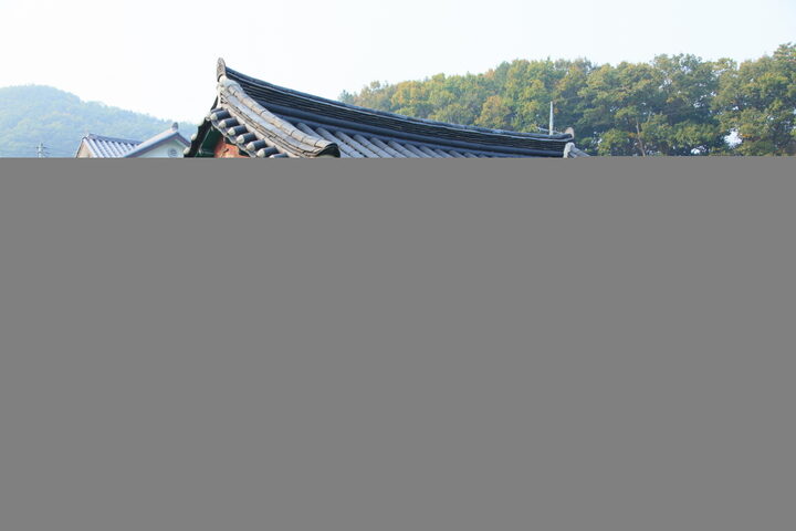 공주소학리효자향덕비_비각 좌측면 (촬영년도 : 2015년)