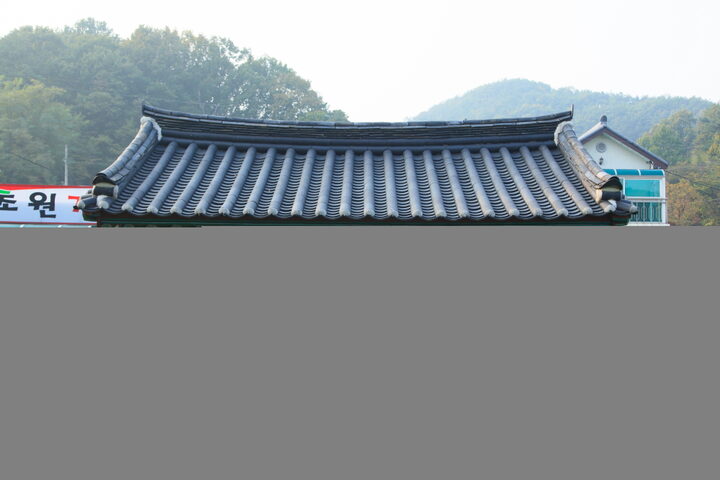 공주소학리효자향덕비_정면 (촬영년도 : 2015년)