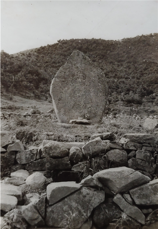 고흥군청
