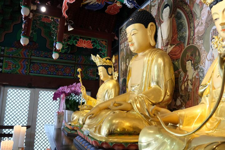 고산사목조석가모니불좌상(측면)