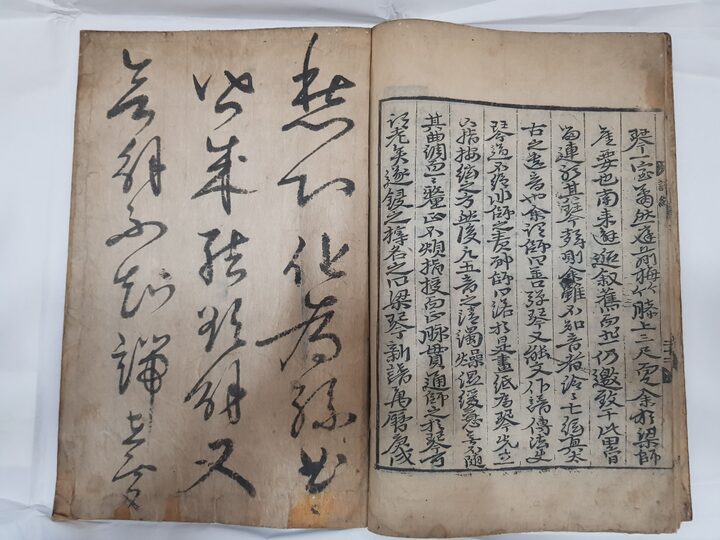 서울시 유형 594호 양금신보