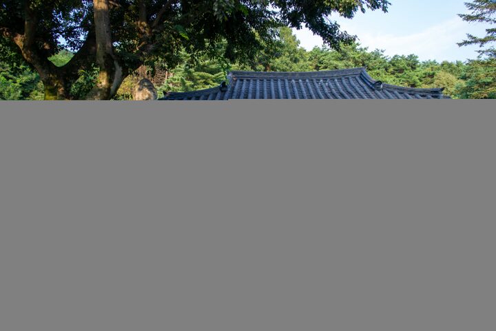 용화사 석조여래입상(사진)_여래입상과 대웅전 전경 (촬영년도_2024년)