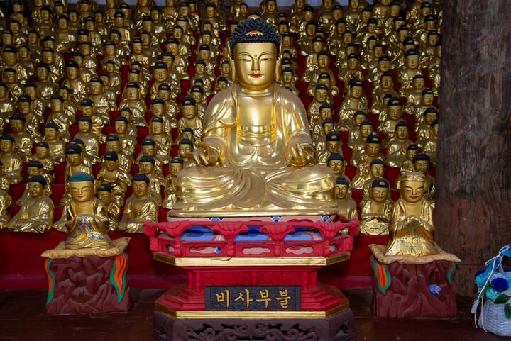 공주 마곡사 영산전 목조칠불좌상(사진)_비사부불 (촬영년도_2024년)