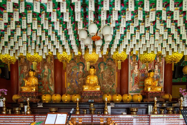천안 광덕사 목조석가여래삼불좌상(사진)_삼불좌상 전경 (촬영년도_2024년)