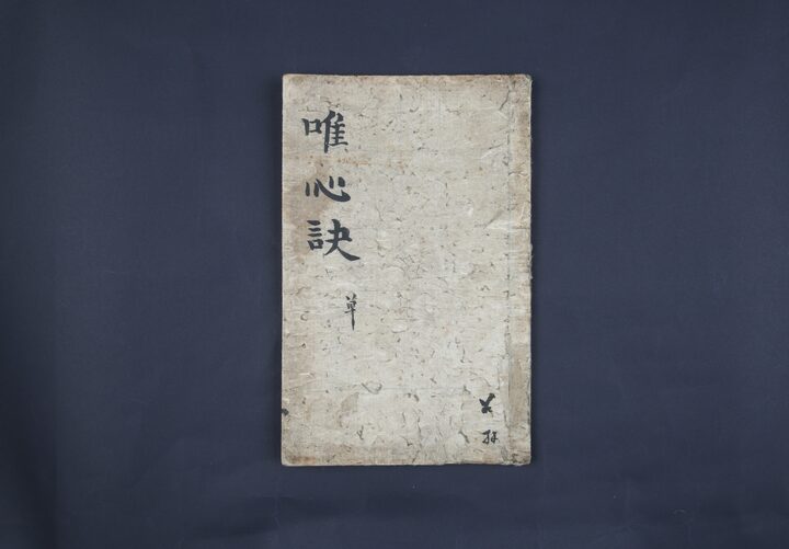 선종유심결
