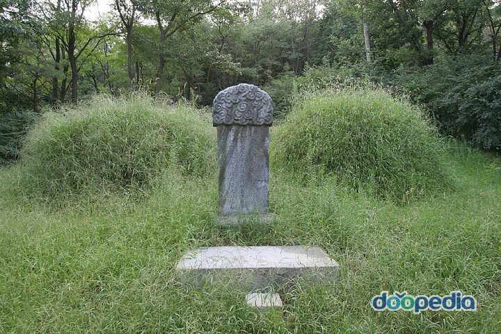 풍산 심씨 문정공파 묘역