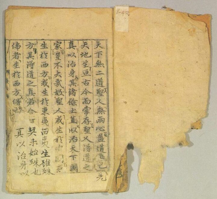 호법론(護法論)