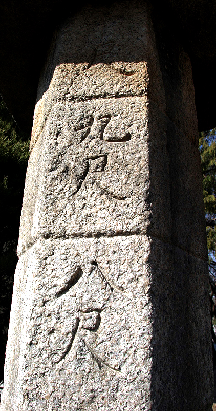 수표눈금자