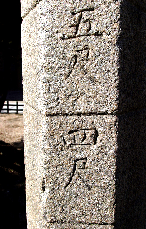 수표눈금자