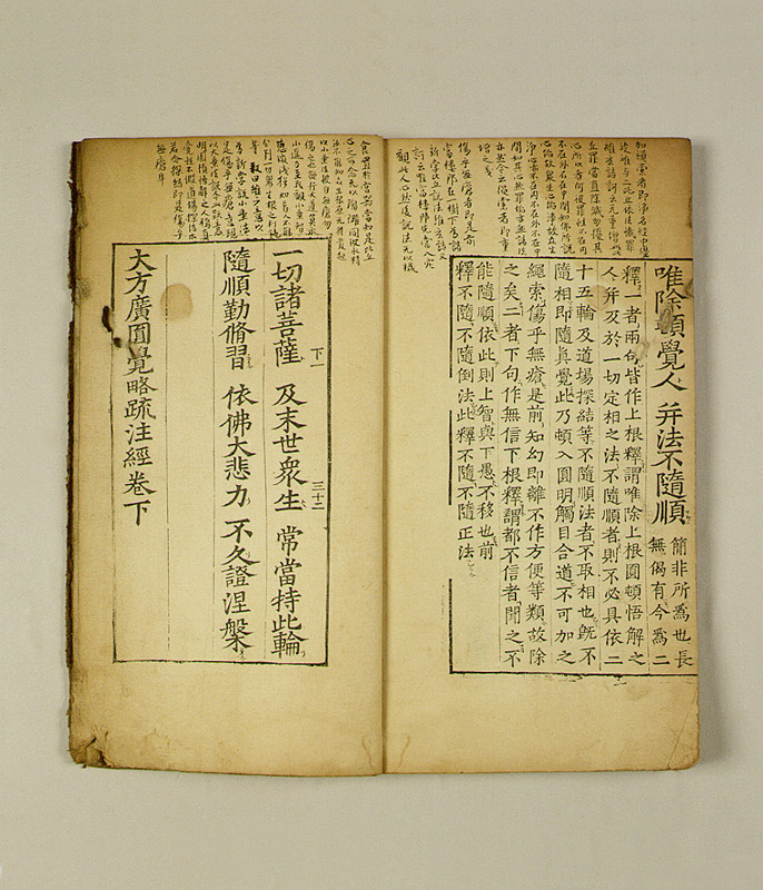 대방광원각약소주경(권하)