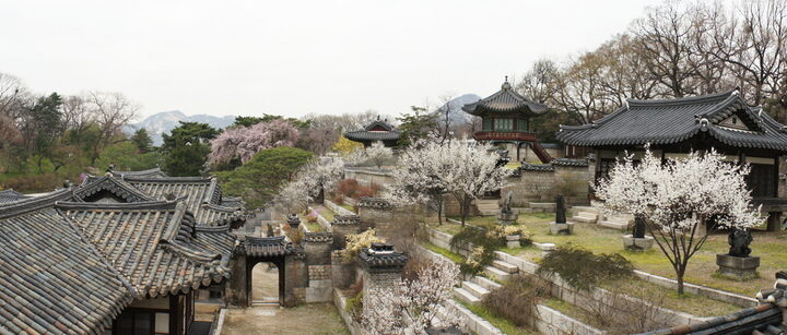 취운정에서 본 낙선재