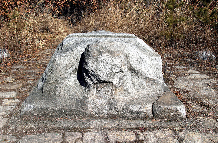 양주 회암사지 선각왕사비(귀부정면)