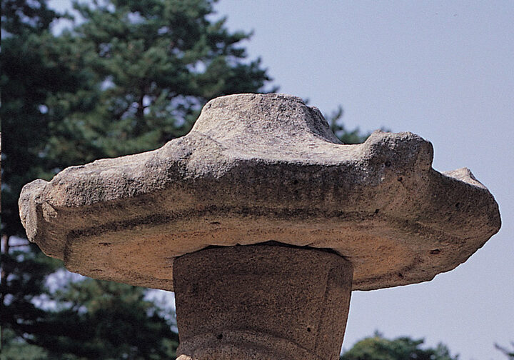 관부분