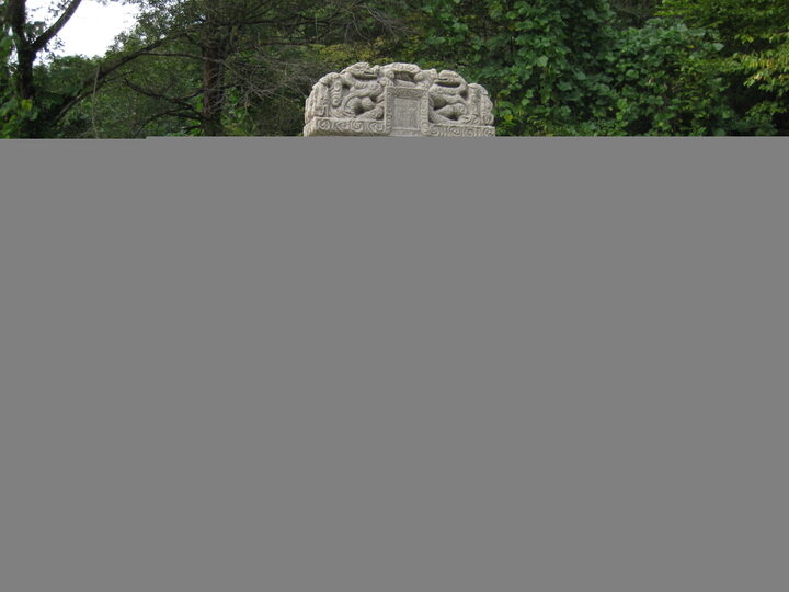 2008년 비신 복원