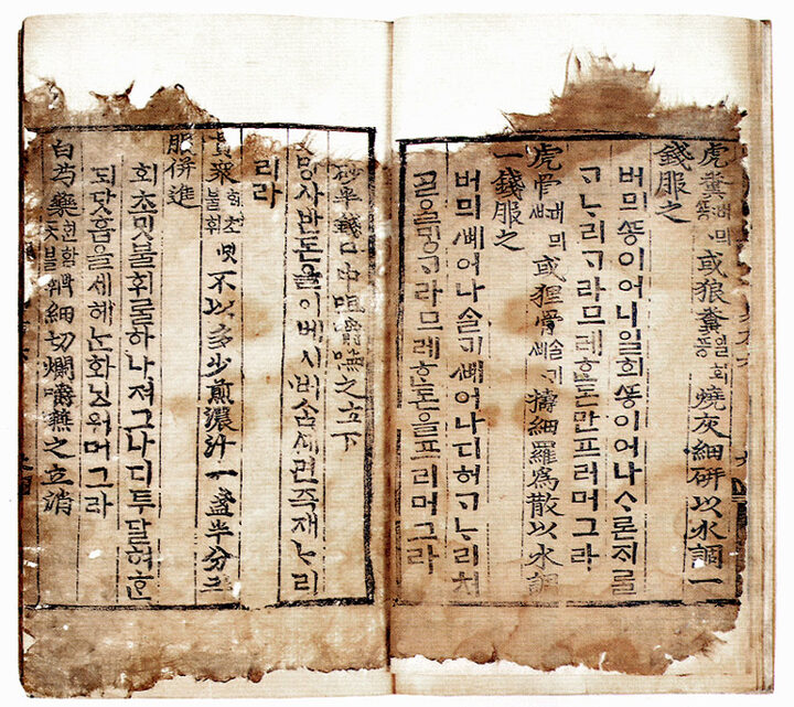 권6의 본문