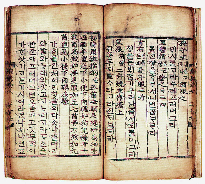 권6의 본문