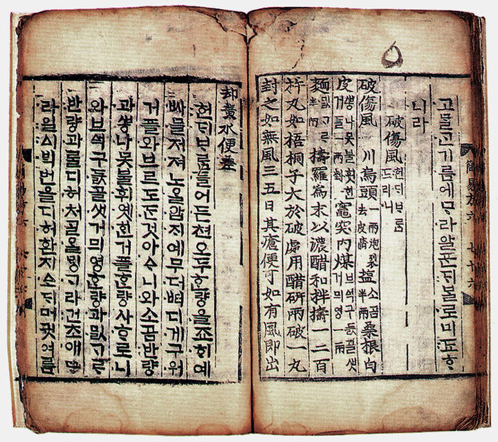 파상풍 치료법 부분