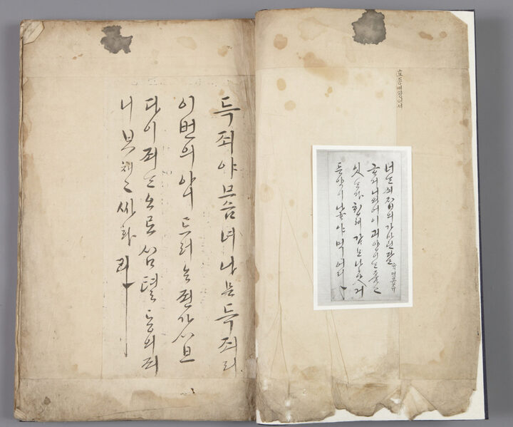 신한첩1