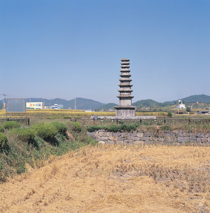 멀리서 바라본 정산 서정리구층석탑