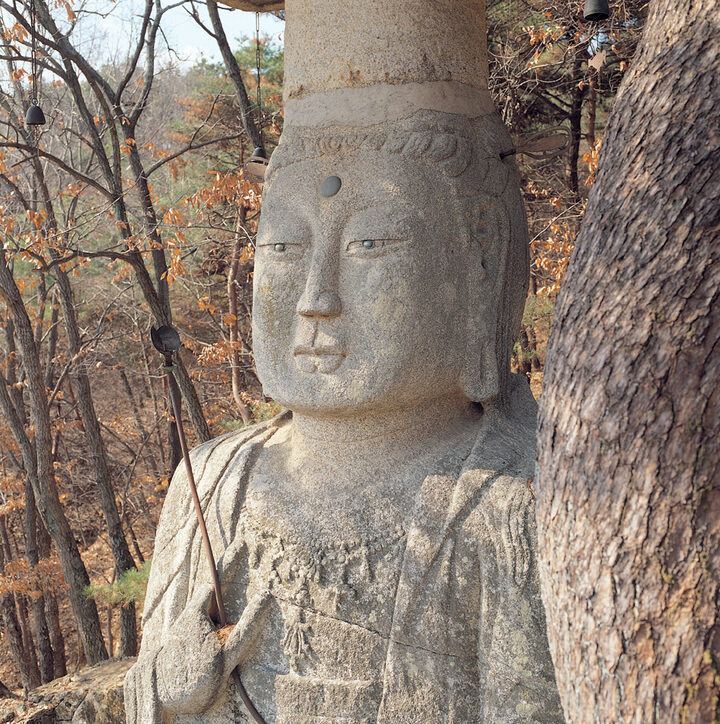 보살입상 상반신 좌측면 향