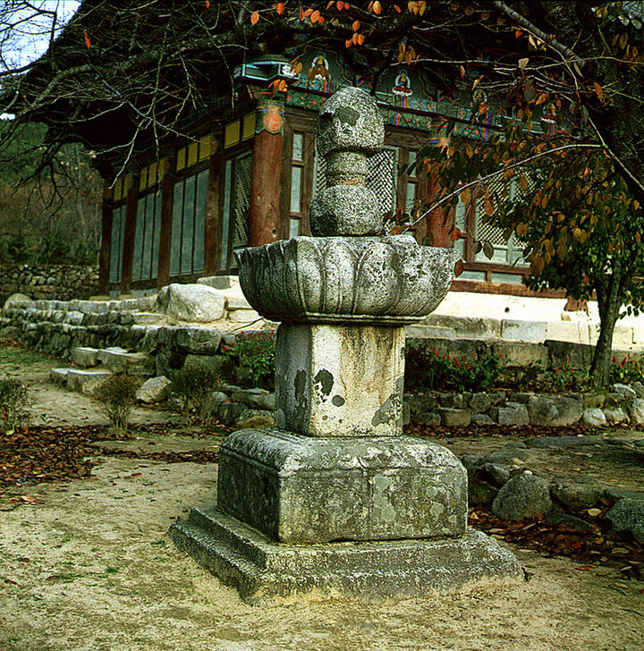 금산사노주