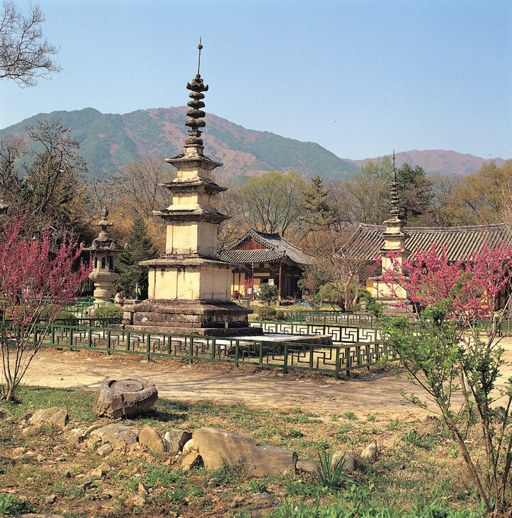 동·서삼층석탑