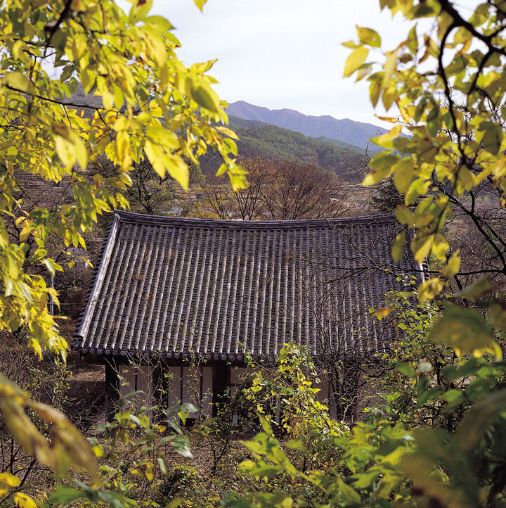 김제 귀신사 대적광전 배면