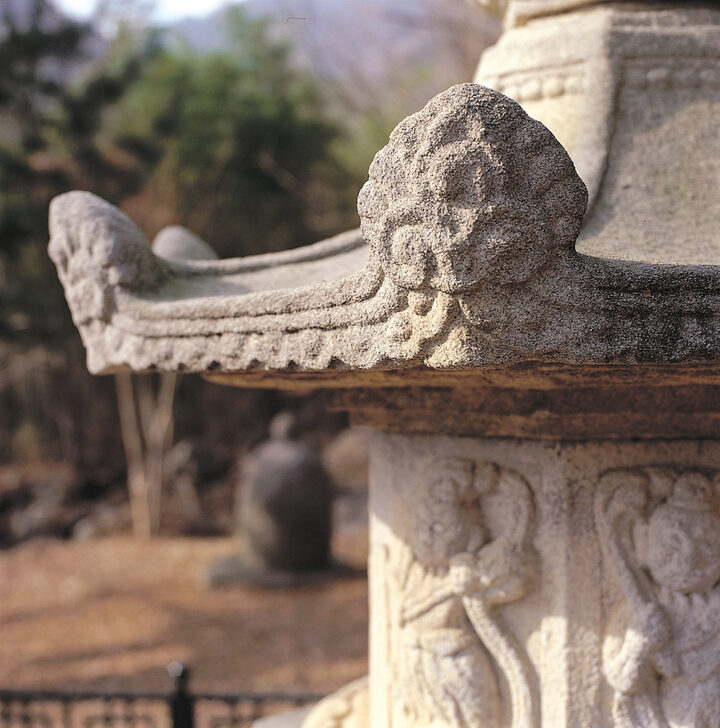 옥개석 귀꽃