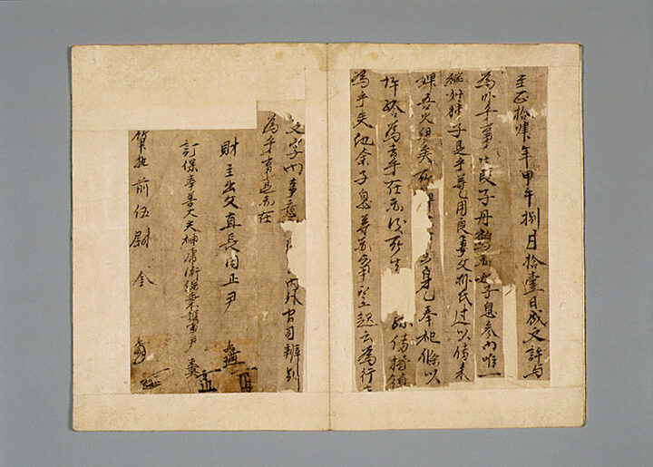 윤단학 노비허여문기 및 입안(尹丹鶴 奴婢許與文記 및 立案)