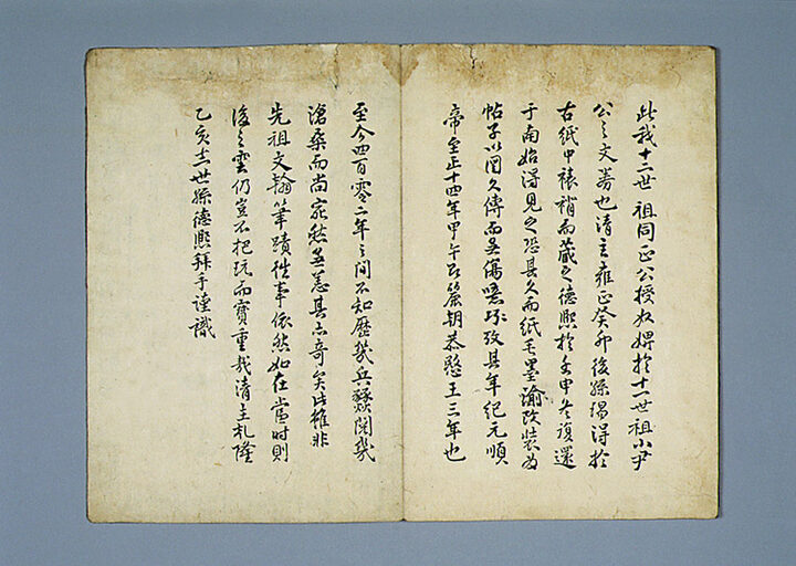 윤단학 노비허여문기 및 입안(尹丹鶴 奴婢許與文記 및 立案)