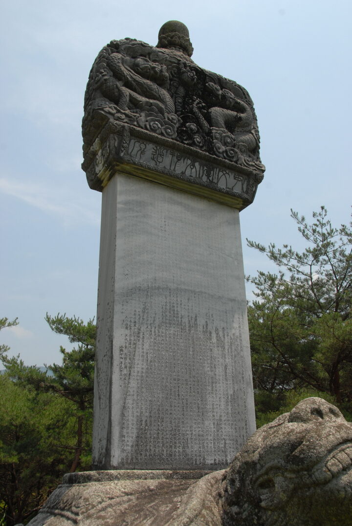 윤문효공신도비