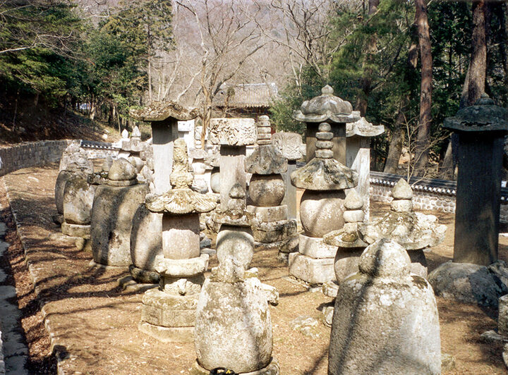 대흥사 부도군 전경