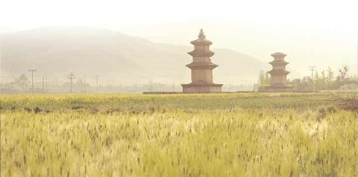 경주 천군동 동·서 삼층석탑
